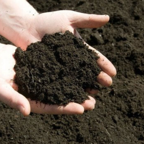 Vermicompost